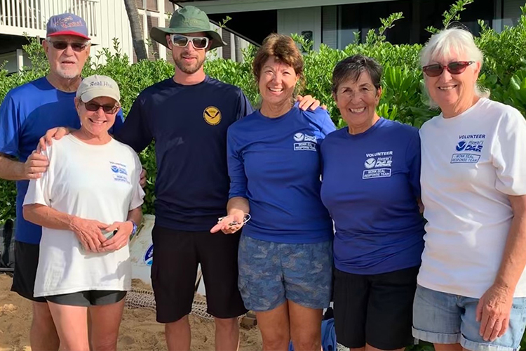 Image: Ambassadors for Conservation: Hawaiian Monk Seal Volunteers