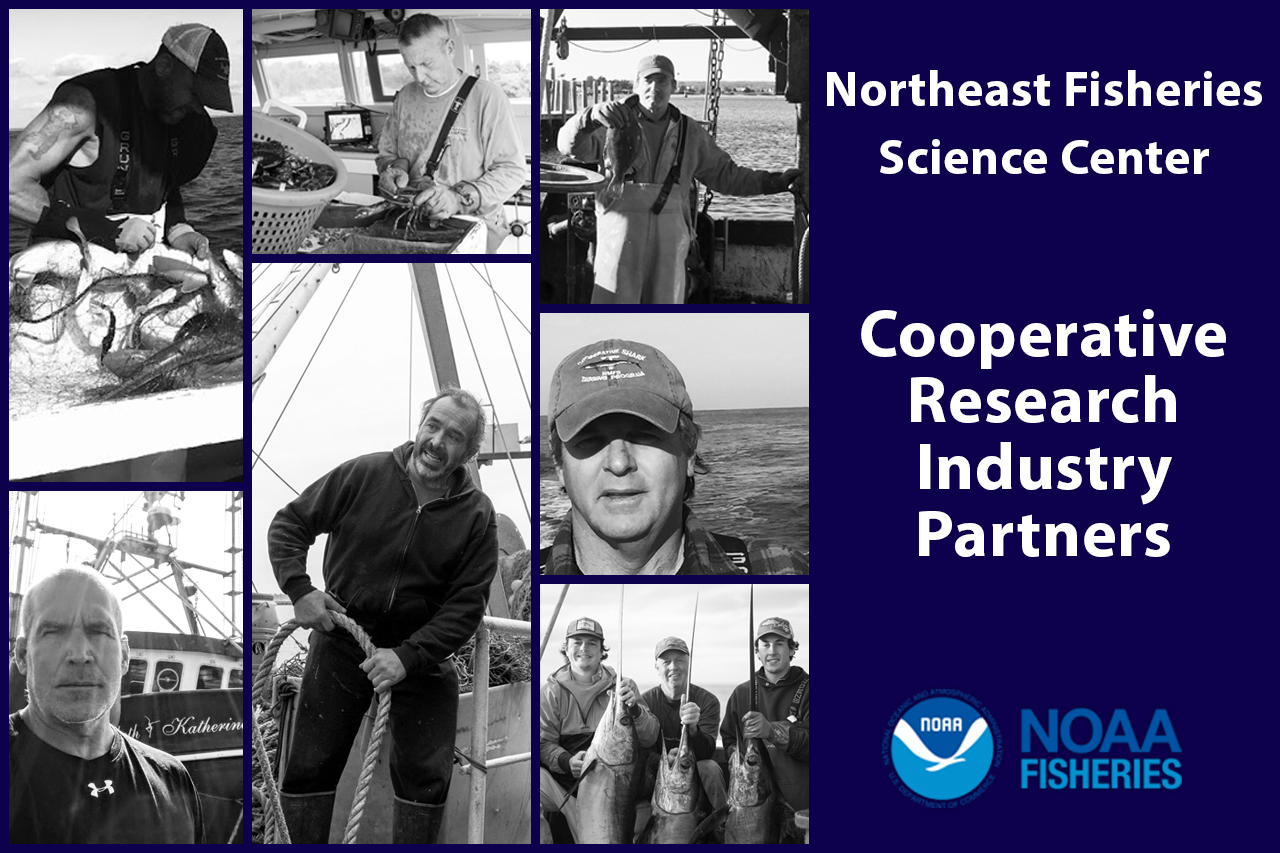 Image: Meet the Fishermen Involved in Cooperative Research
