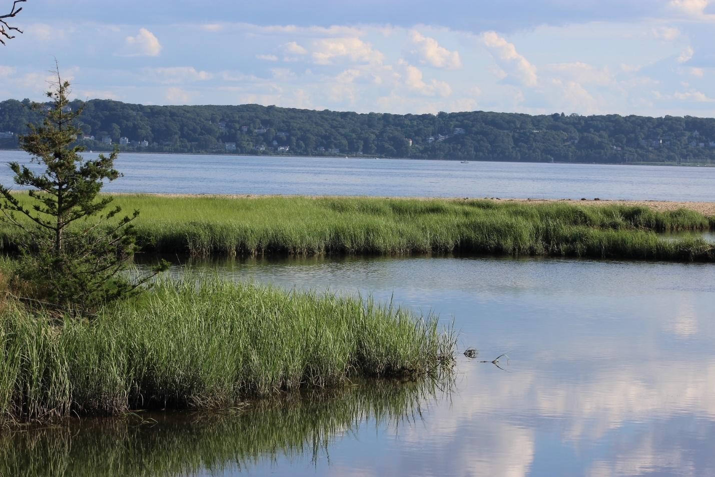 Image: Study Assesses Vulnerability of Coastal Habitats to Climate Change in the Northeast United States