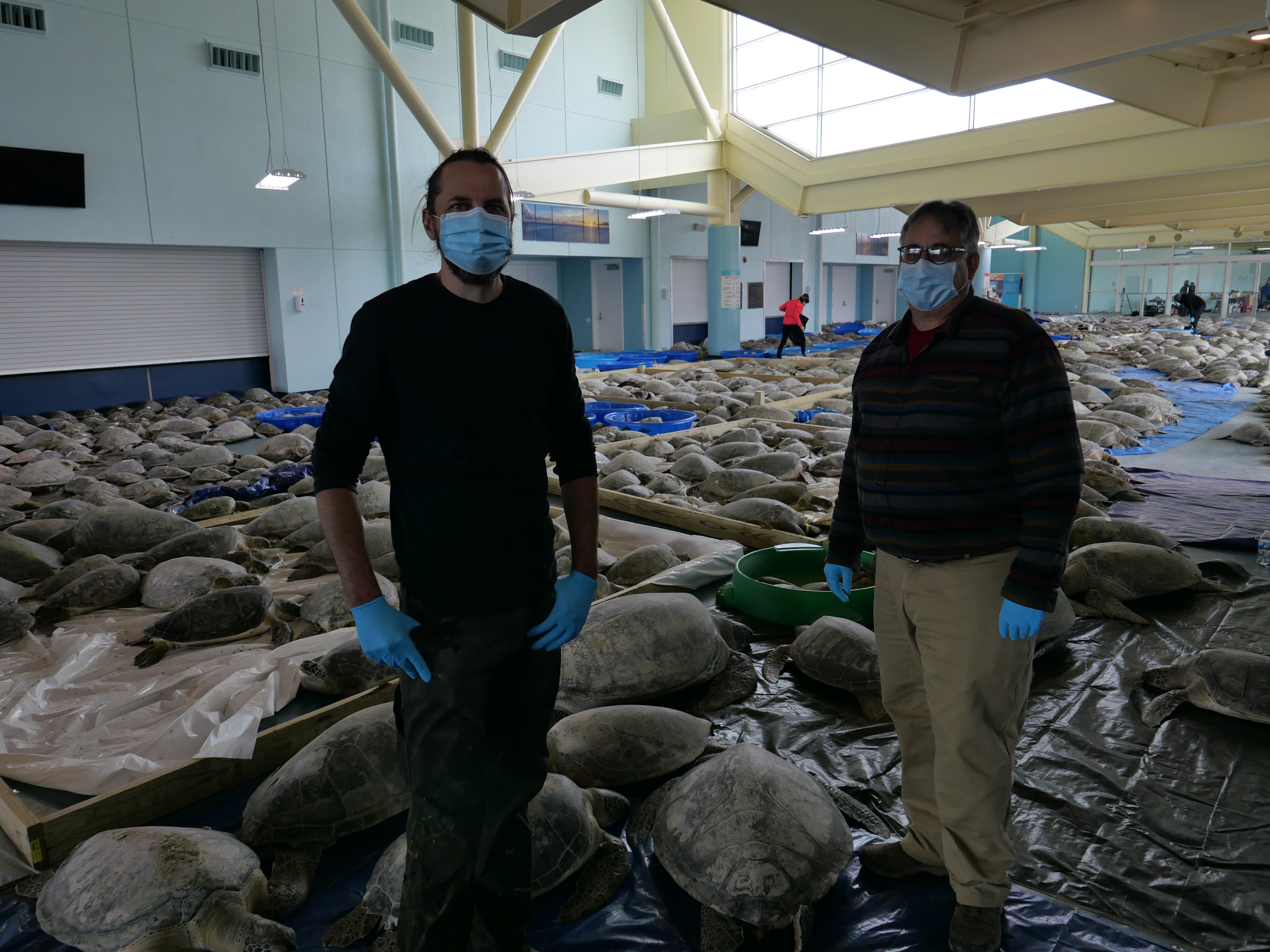 Image: Rescuing Thousands of Sea Turtles in Texas