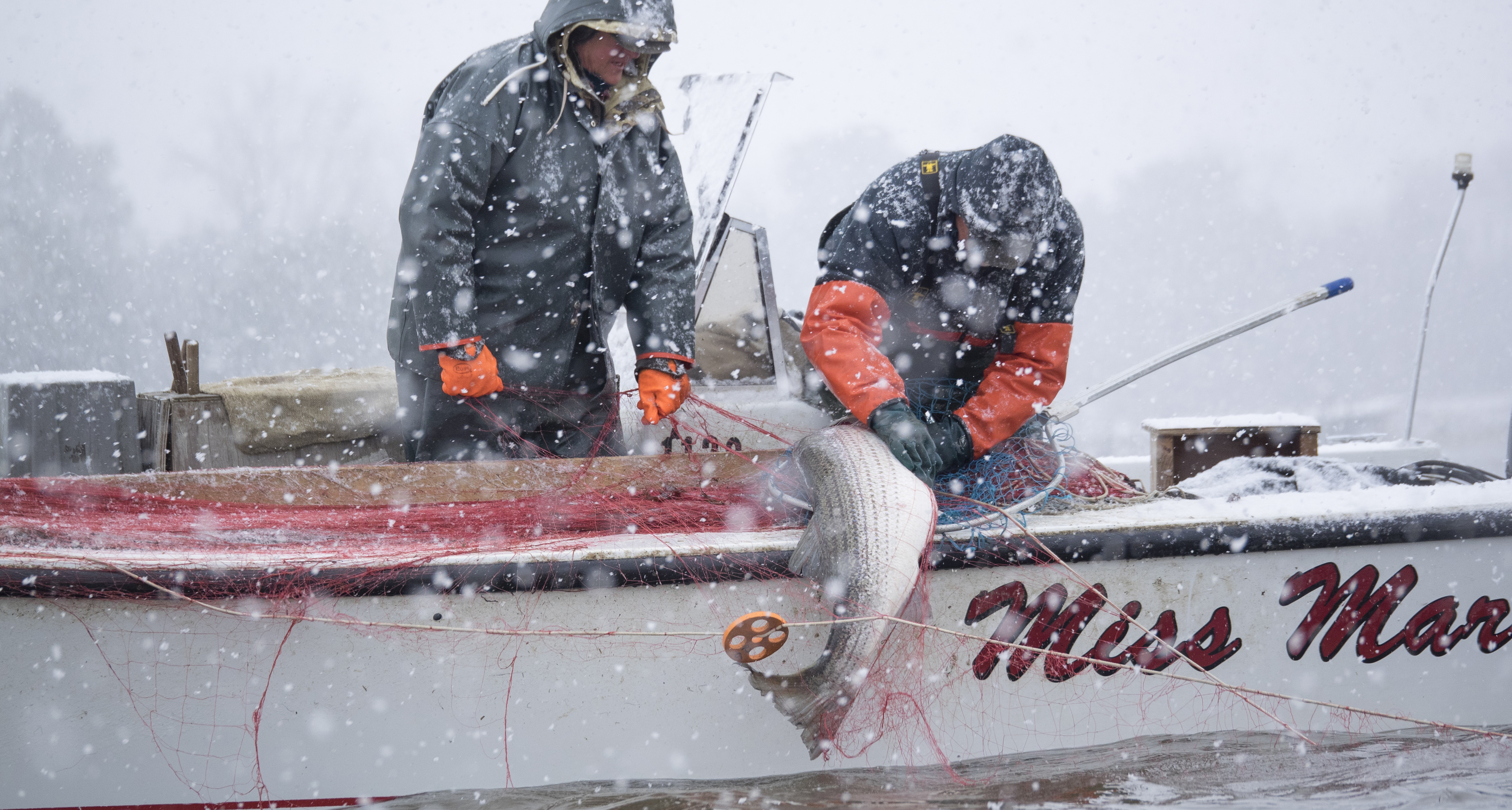 Image: NOAA Chesapeake Bay Office Releases Biennial Report to Congress