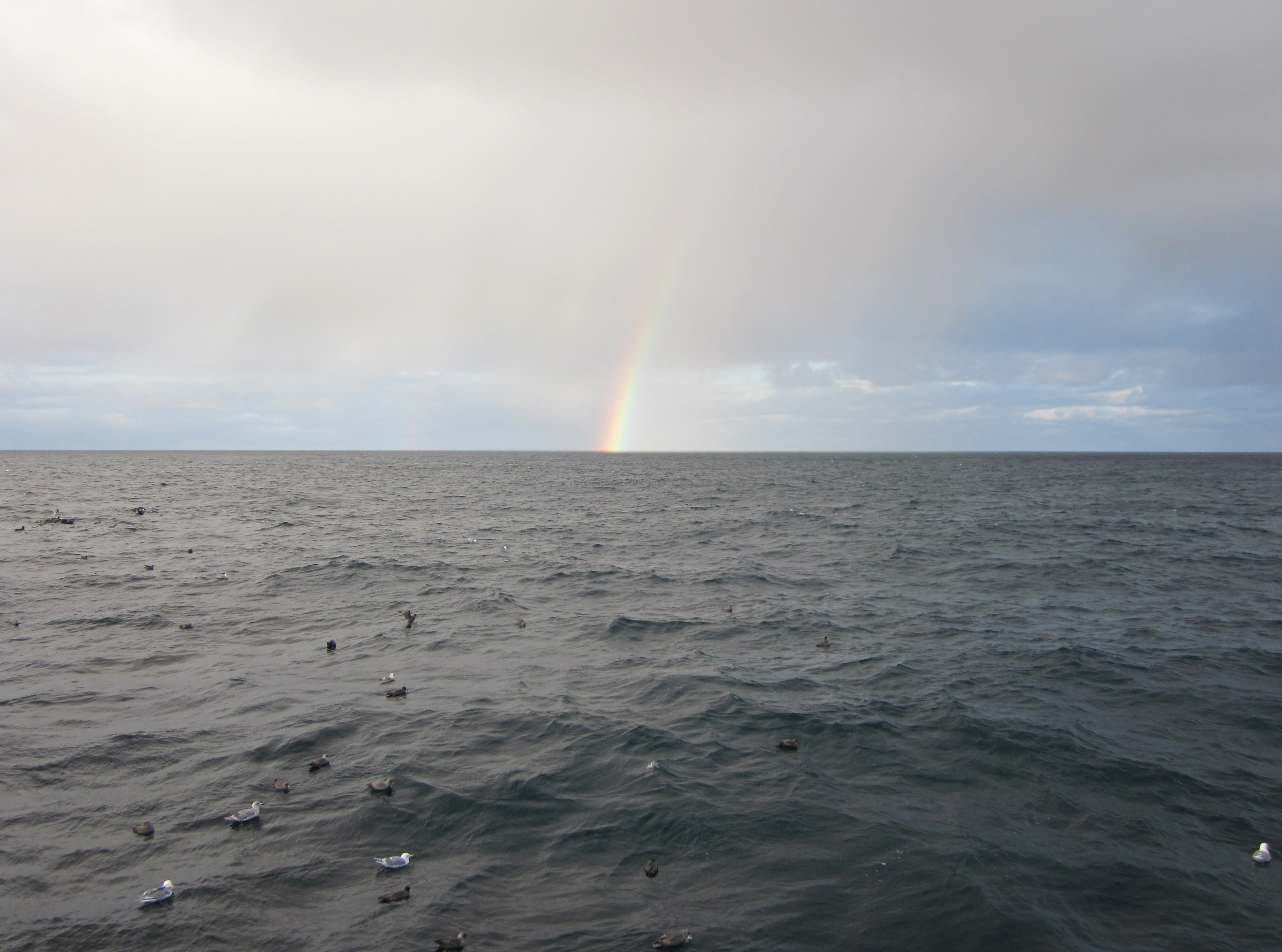 Image: Surveys Will Collect Data Crucial for Managing Alaska Fisheries and Monitoring Alaska Marine Ecosystems