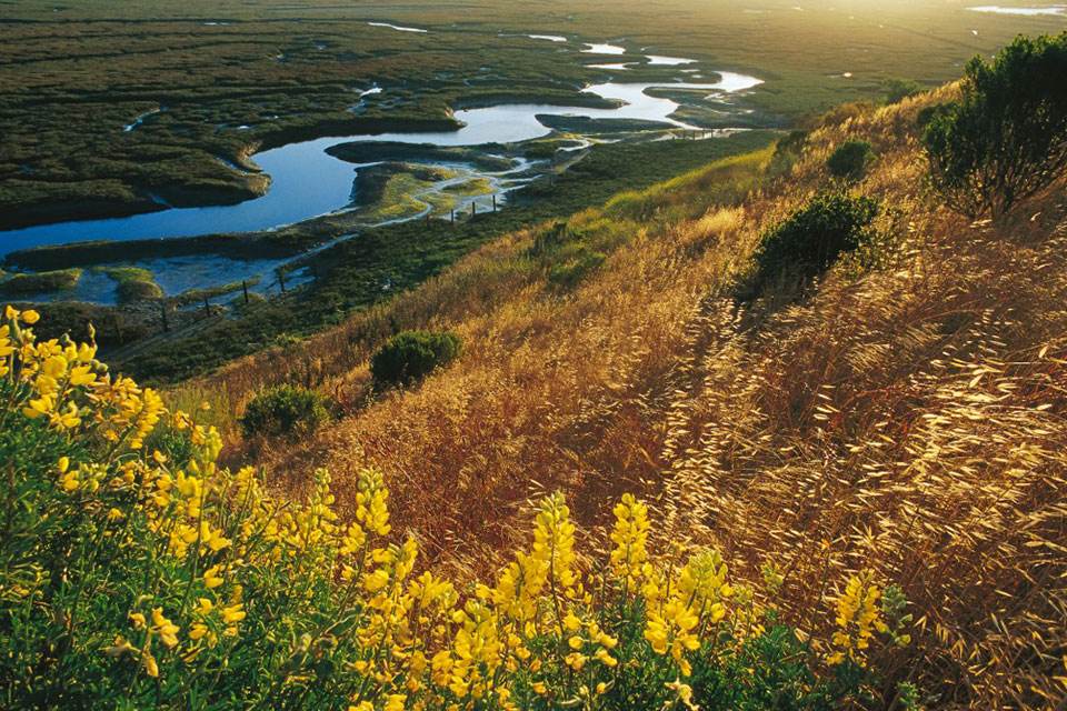 Image: Celebrating 50 Years of Internationally Important Wetlands