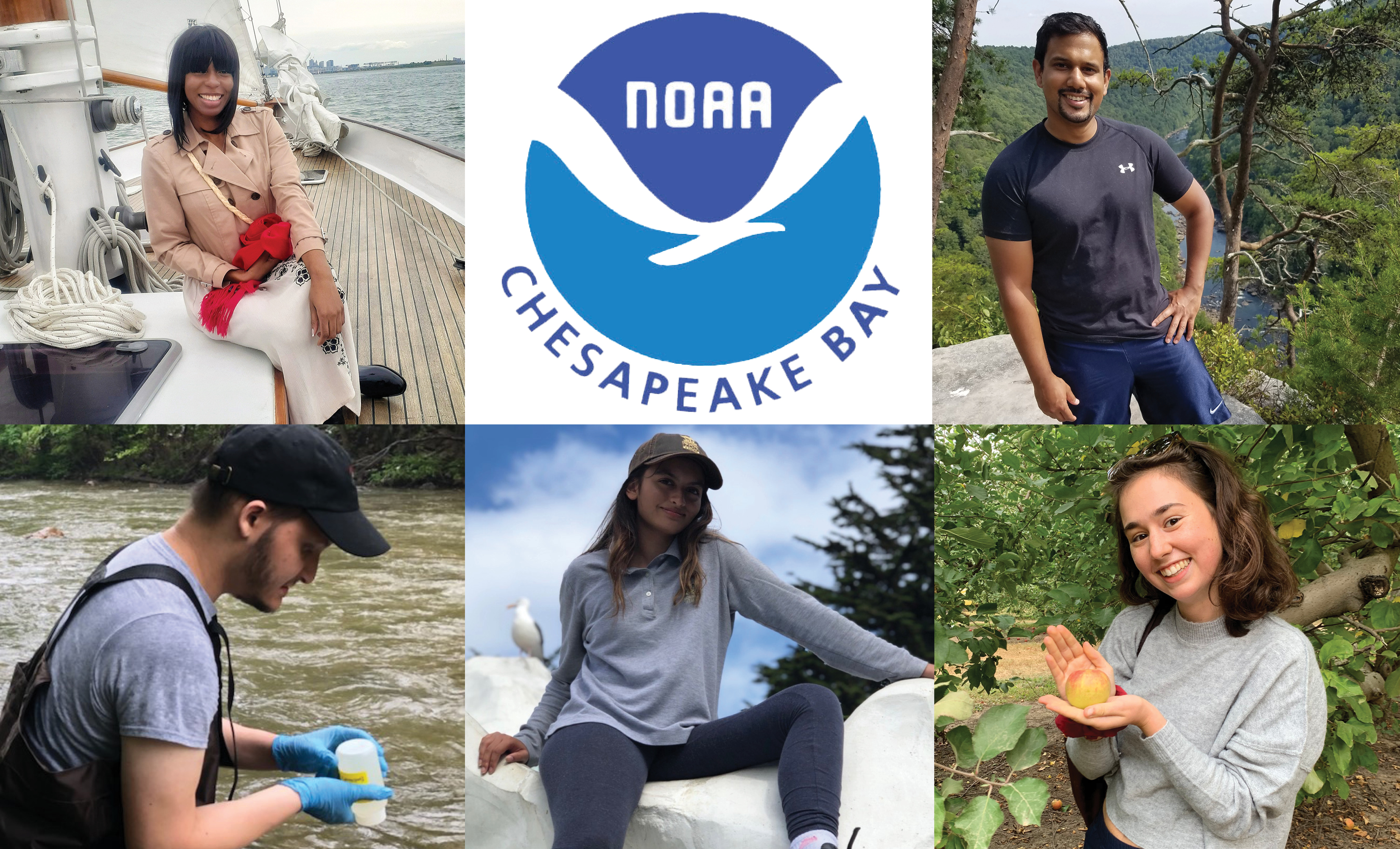 Image: A Very Chesapeake Summer