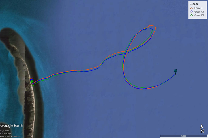 Image: Get My Drift? Using Drift Studies to Understand Sea Turtle Stranding Patterns