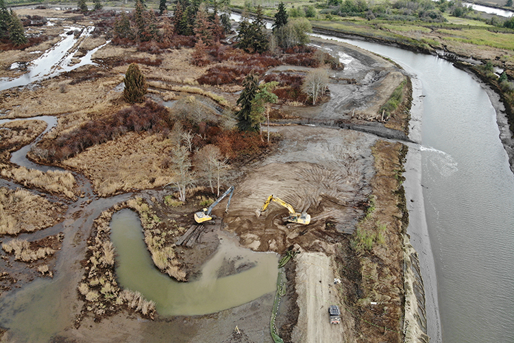 Image: Building Community Resilience Through Habitat Restoration
