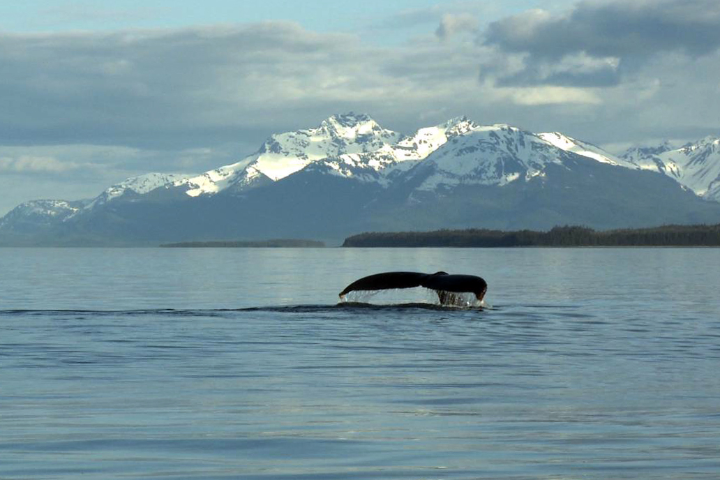 Image: Top 21 Stories, Photos, and Videos of 2021