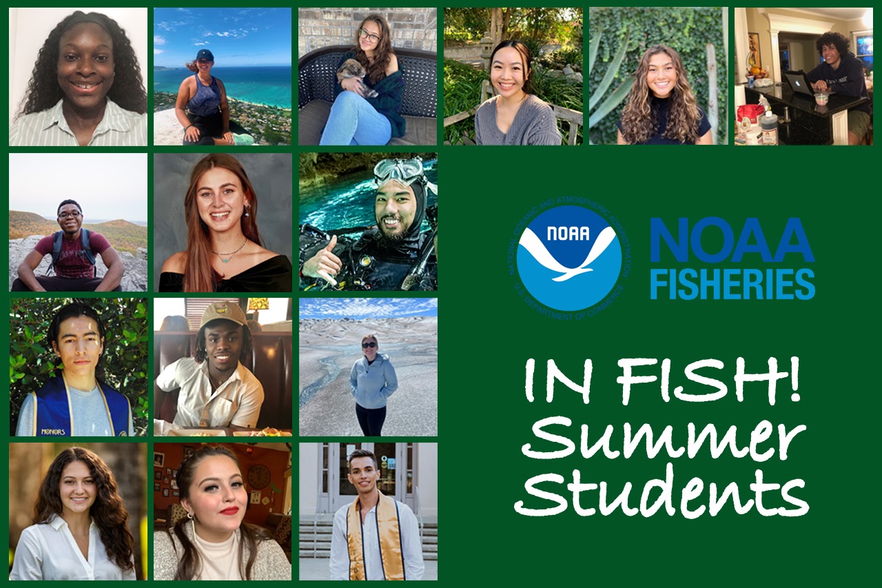 Image: Our 2021 IN FISH Students Share Insights