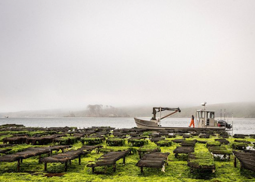 Image: Aquaculture Grower Profiles