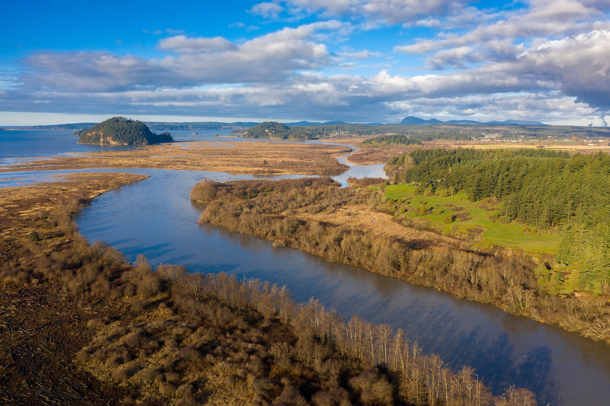 Image: New Conservation Calculator Helps Protect Vital Nearshore Habitat in Puget Sound