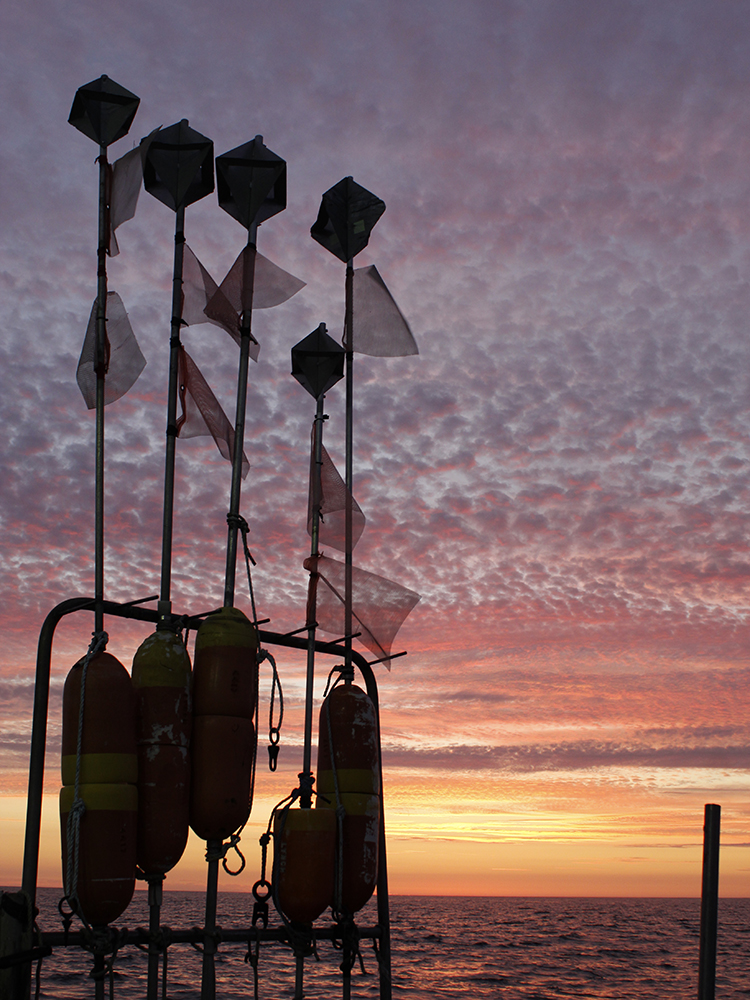 Image: Cooperative Research Branch Fall Gulf of Maine Bottom Longline Surveys Completed