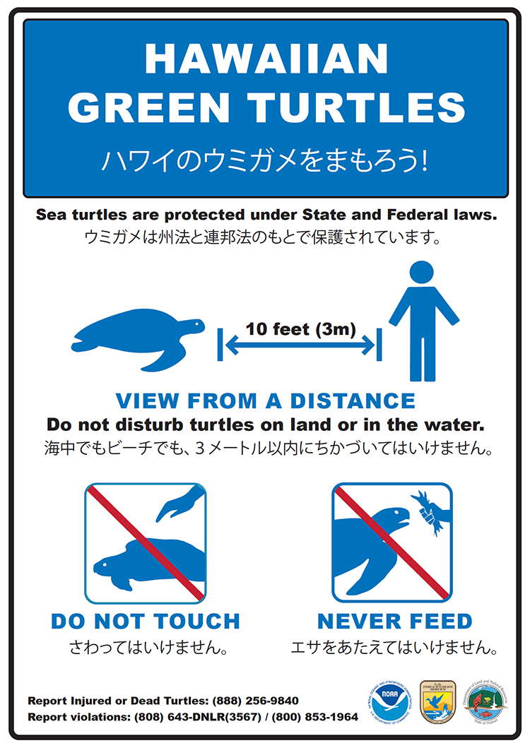 Image: Hawaiian Green Turtle Beach Signage
