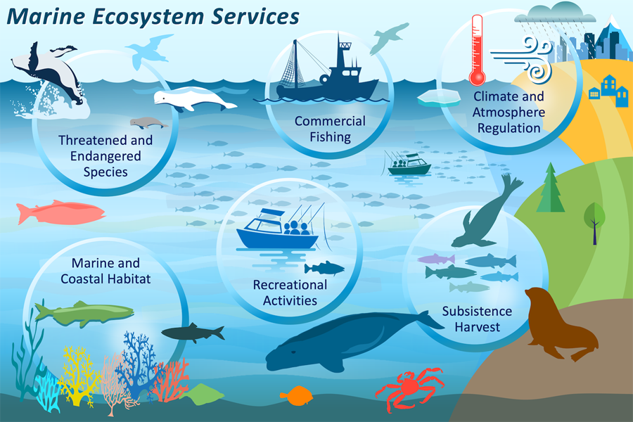 Image: Accurately Accounting for the Economic Value of Marine Ecosystems