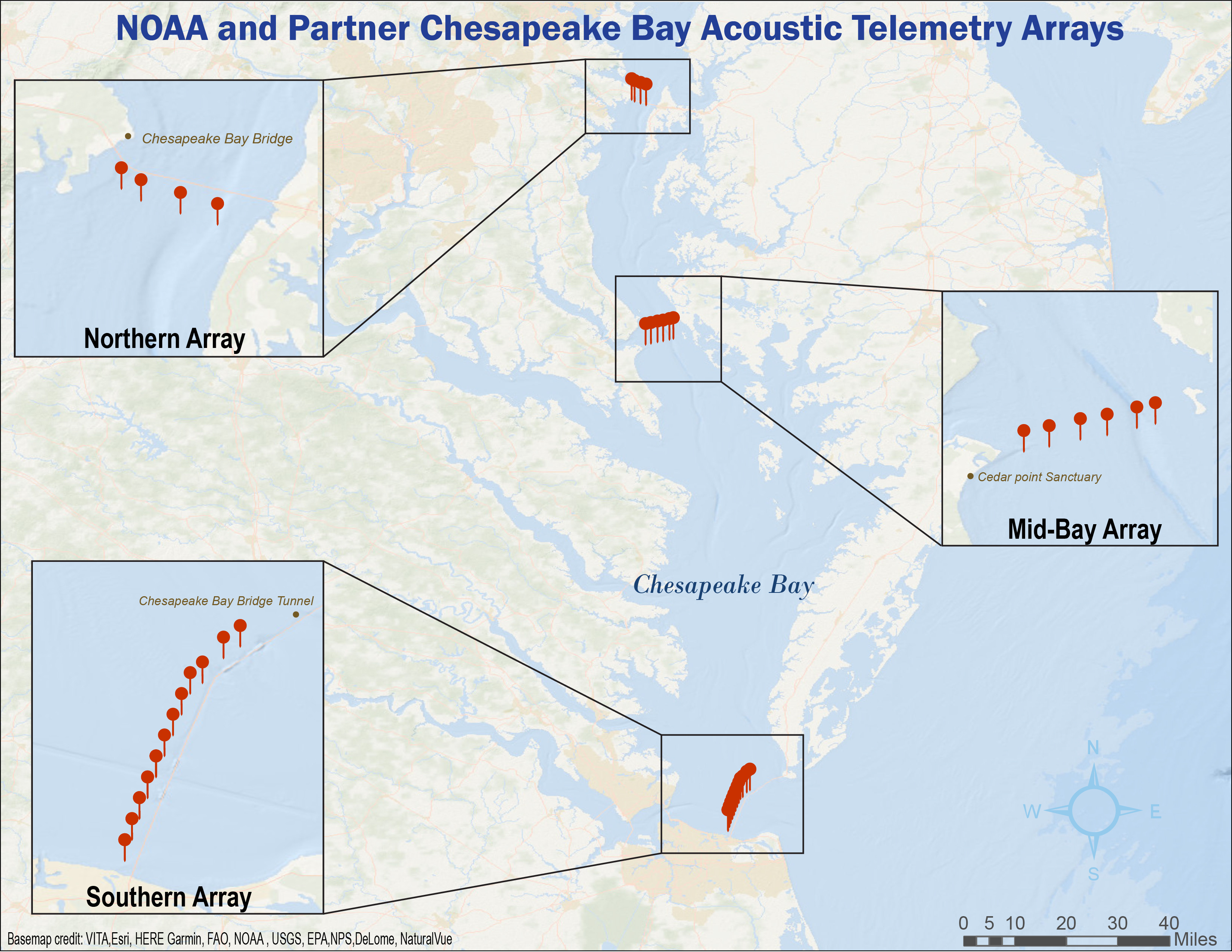 Image: Tracking Fish in the Chesapeake Bay Helps Researchers and Resource Managers