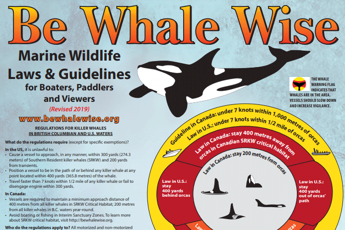 Image: Be Whale Wise Poster - Southern Resident Killer Whales