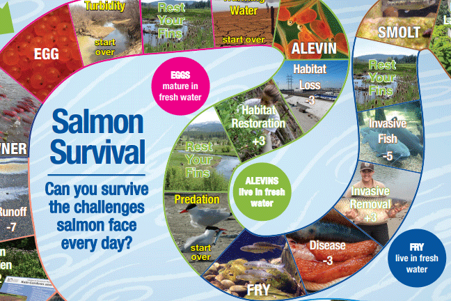 Salmon Survival Game