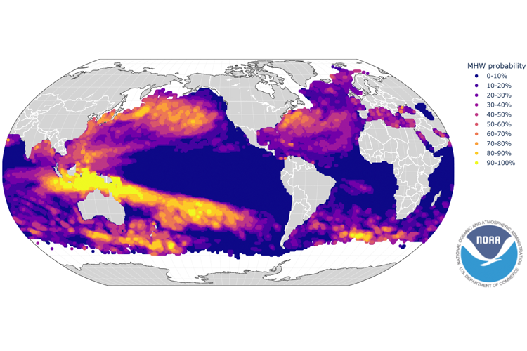 Image: New Global Forecasts of Marine Heatwaves Foretell Ecological and Economic Impacts