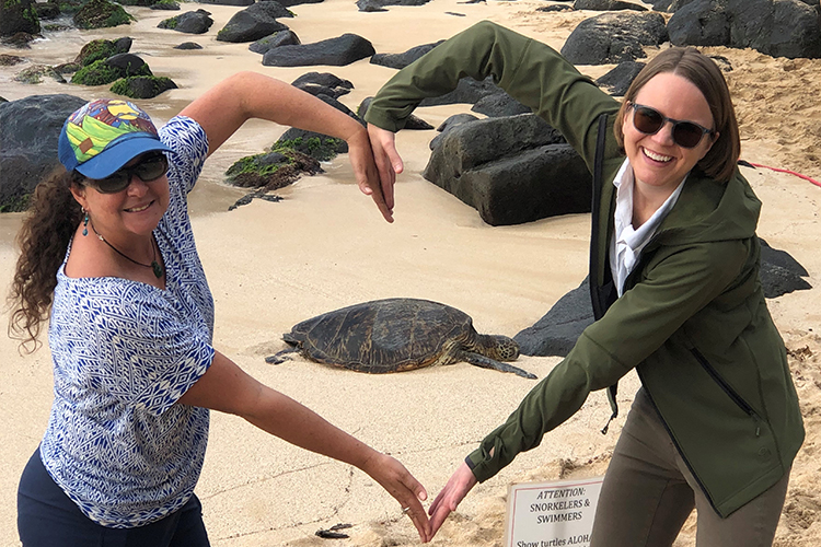 Image: Hawaiʻi Sea Turtles Are Amazing—from Afar