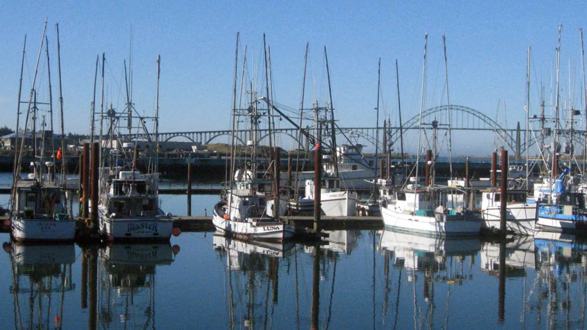 Fishing boats along a dock