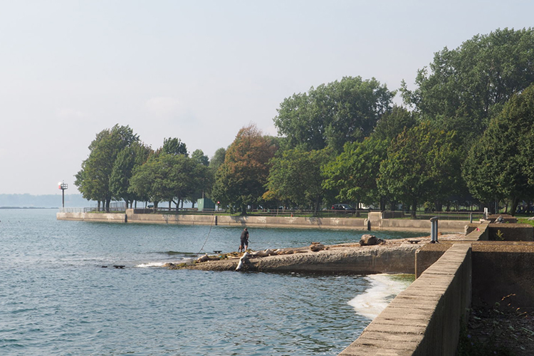 Image: More than $14 Million in Funding Recommended for Great Lakes Habitat Restoration