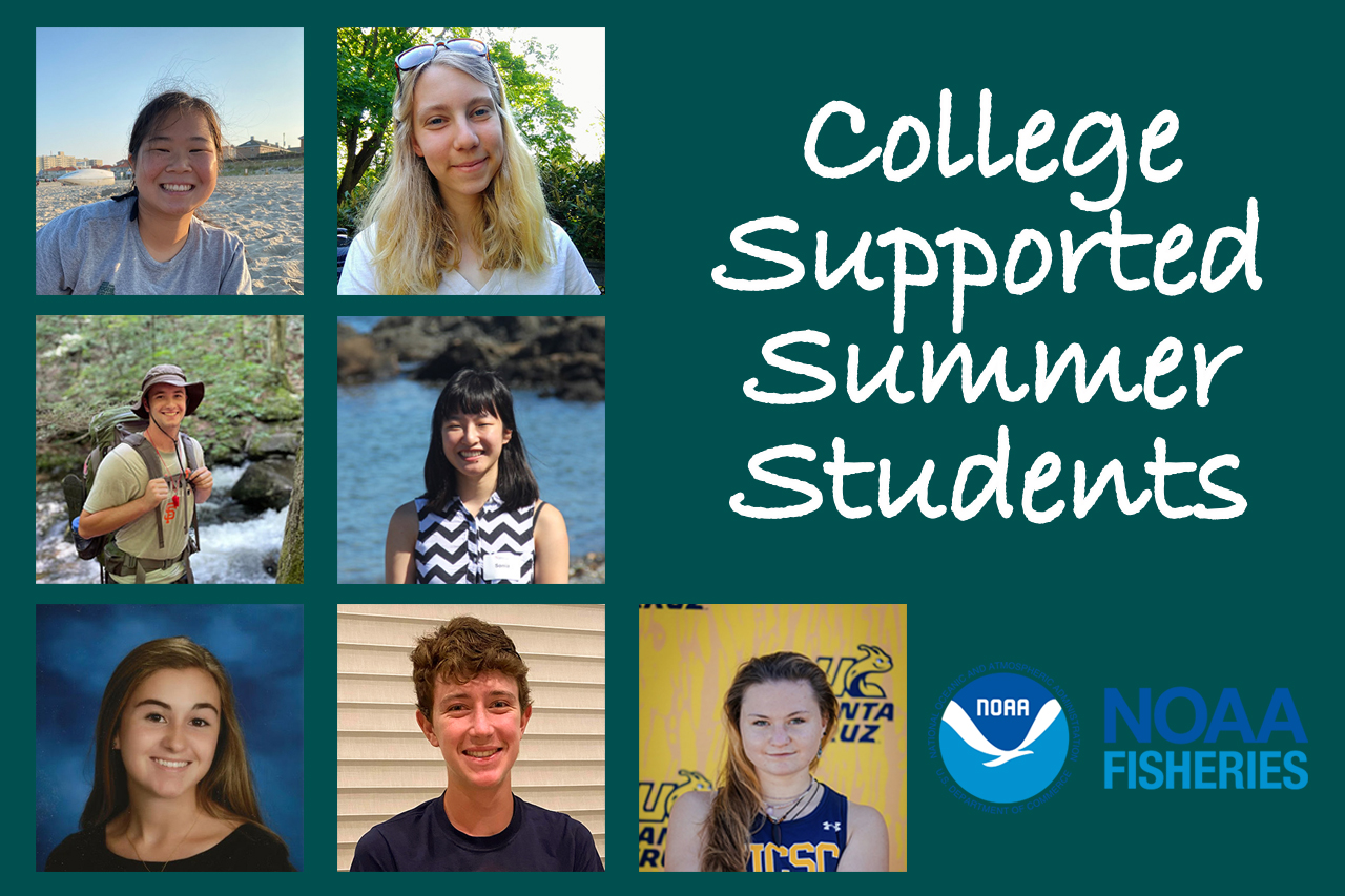 Image: Our 2022 College-Supported Students Share Insights
