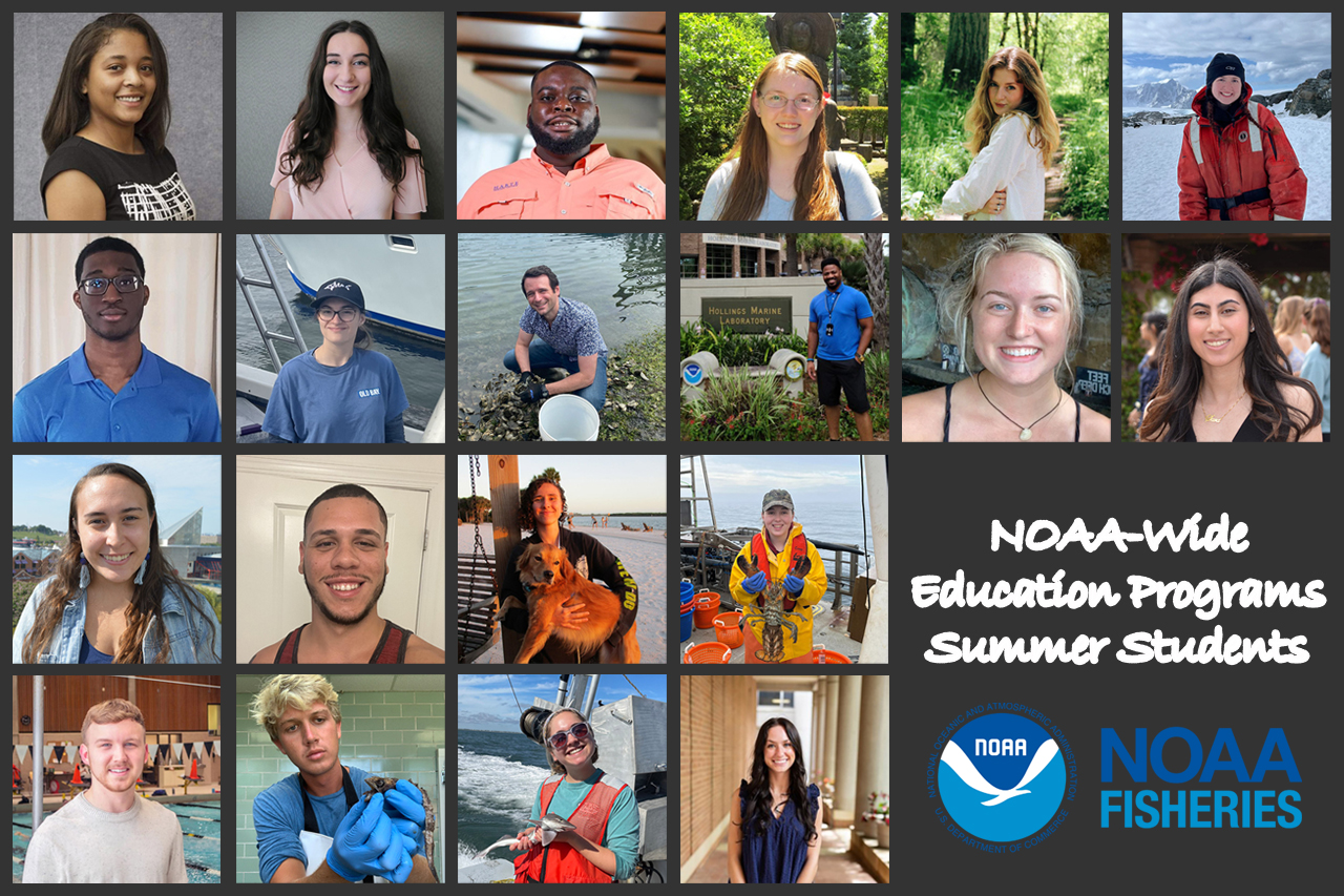 Image: Our 2022 NOAA-Wide Education Program Students Share Insights