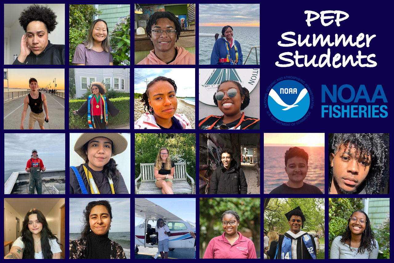 Image: Our 2022 PEP Students Share Insights