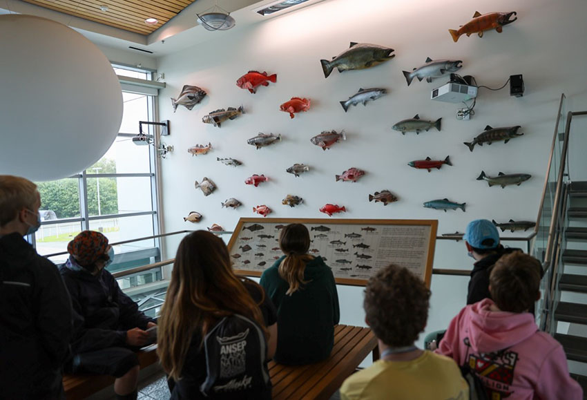 Summer Camp - Atlantic Salmon Museum