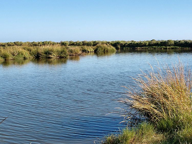 Image: Louisiana Trustees Release Final Mid-Barataria Sediment Diversion Restoration Plan