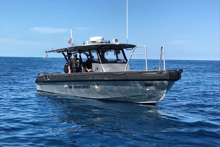 Image: NOAA Enforcement Busts Unlicensed Seafood Dealer