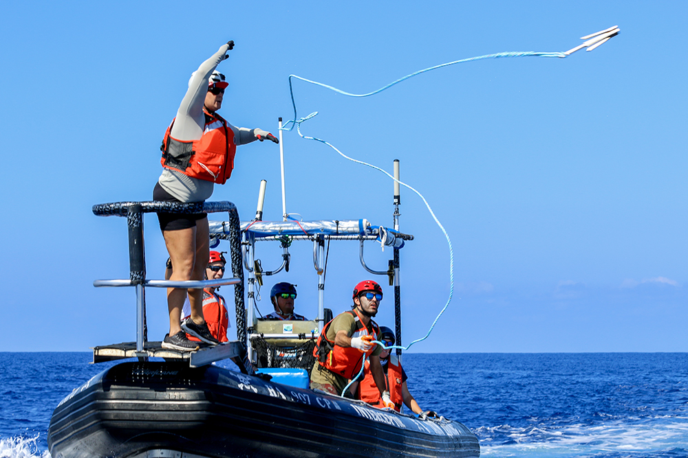 Image: How NOAA Prepares for Entanglements During Whale Season in Hawaiʻi