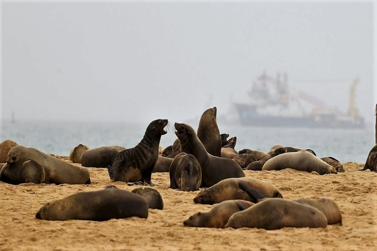 Image: Sharing Fisheries Management Practices with International Partners