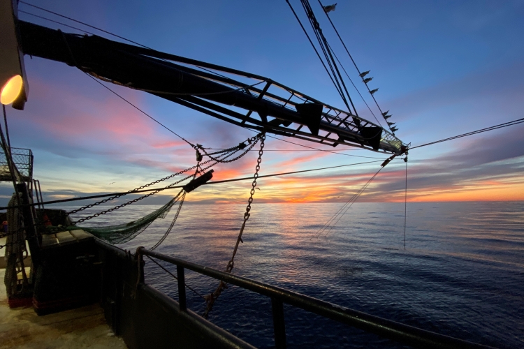 Image: Is U.S. Wild-Caught Shrimp Sustainable? The Short Answer Is Yes