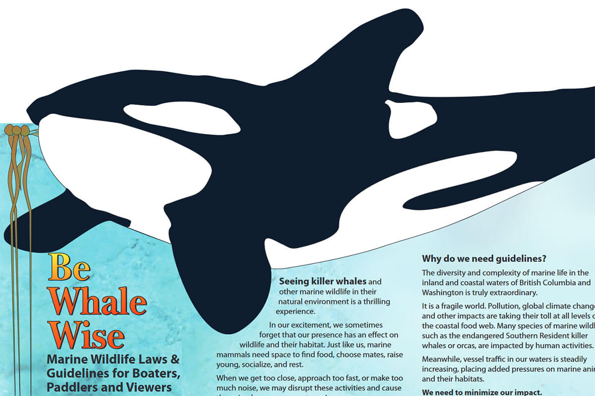 Image: Be Whale Wise - Southern Resident Killer Whale Brochure