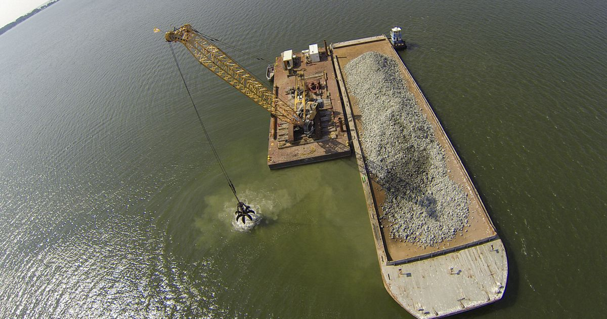 Image: Chesapeake Bay Oyster Reef Restoration Acreage Surpasses 2 Square Miles