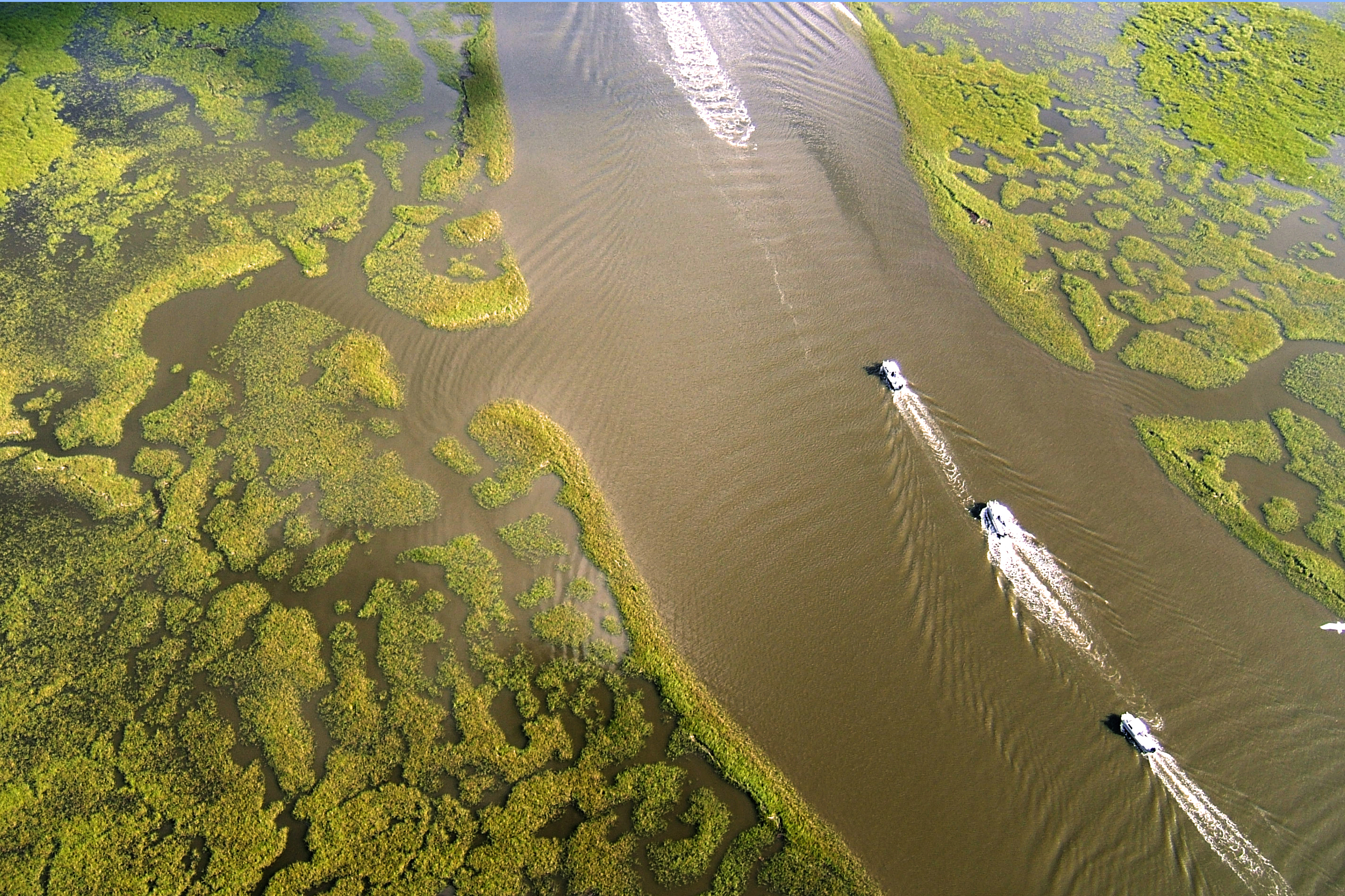 Image: Two NOAA Programs Support Restoration After Coastal Pollution