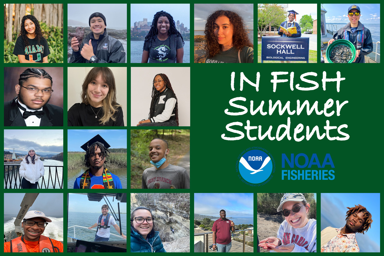 Image: Our 2023 IN FISH Students Share Insights
