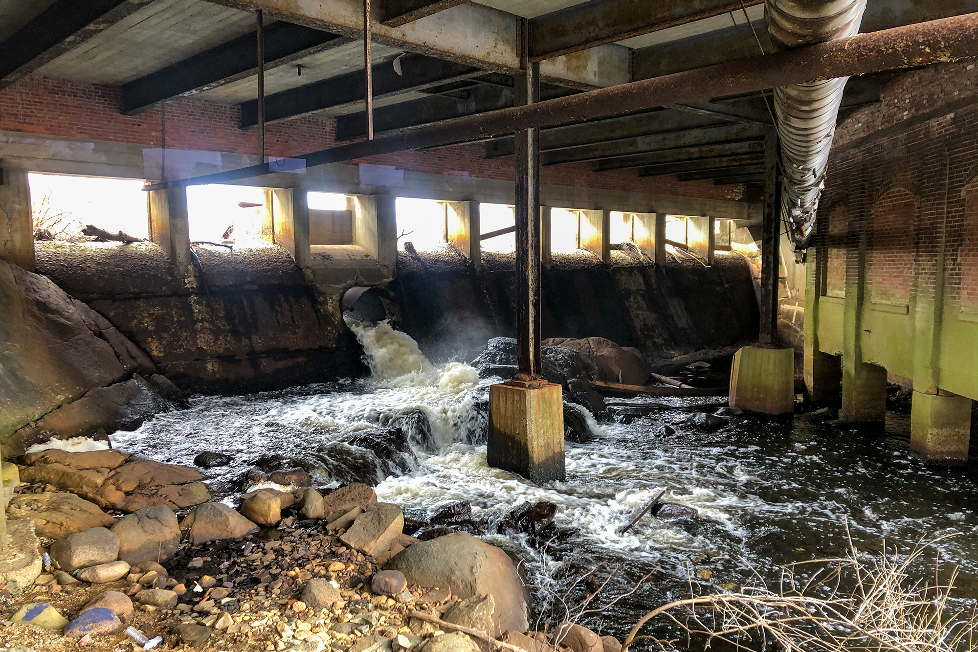 Image: Massachusetts Dam Removals to Allow Return of River Herring After 200 Years