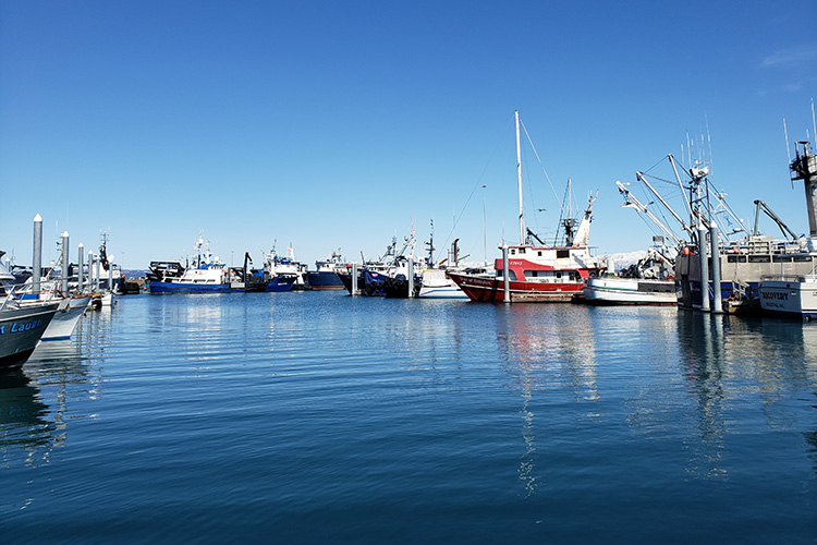 Image: Alaska Economic and Social Sciences Research