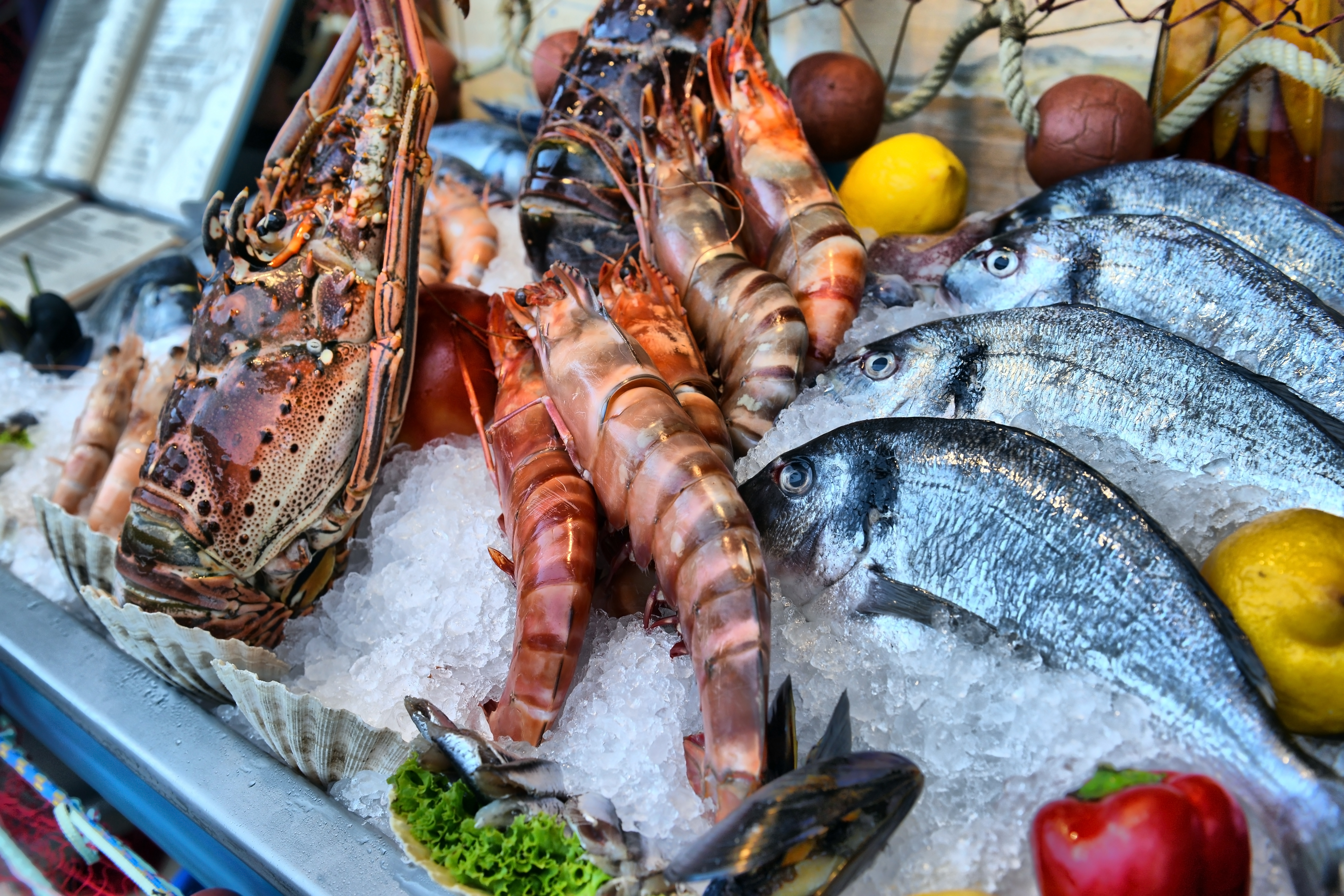 Image: World Fisheries Day: A Message from Alexa Cole, Director of NOAA Fisheries Office Of International Affairs, Trade, and Commerce