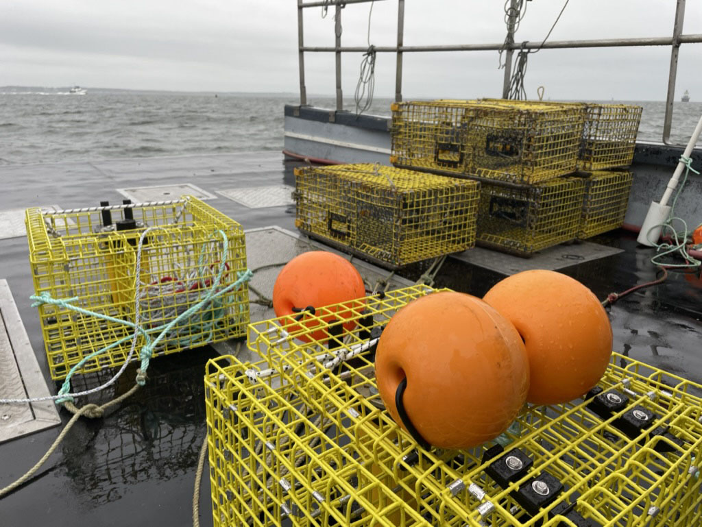 On-demand Ropeless Gear Testing In Closed Fishing Areas
