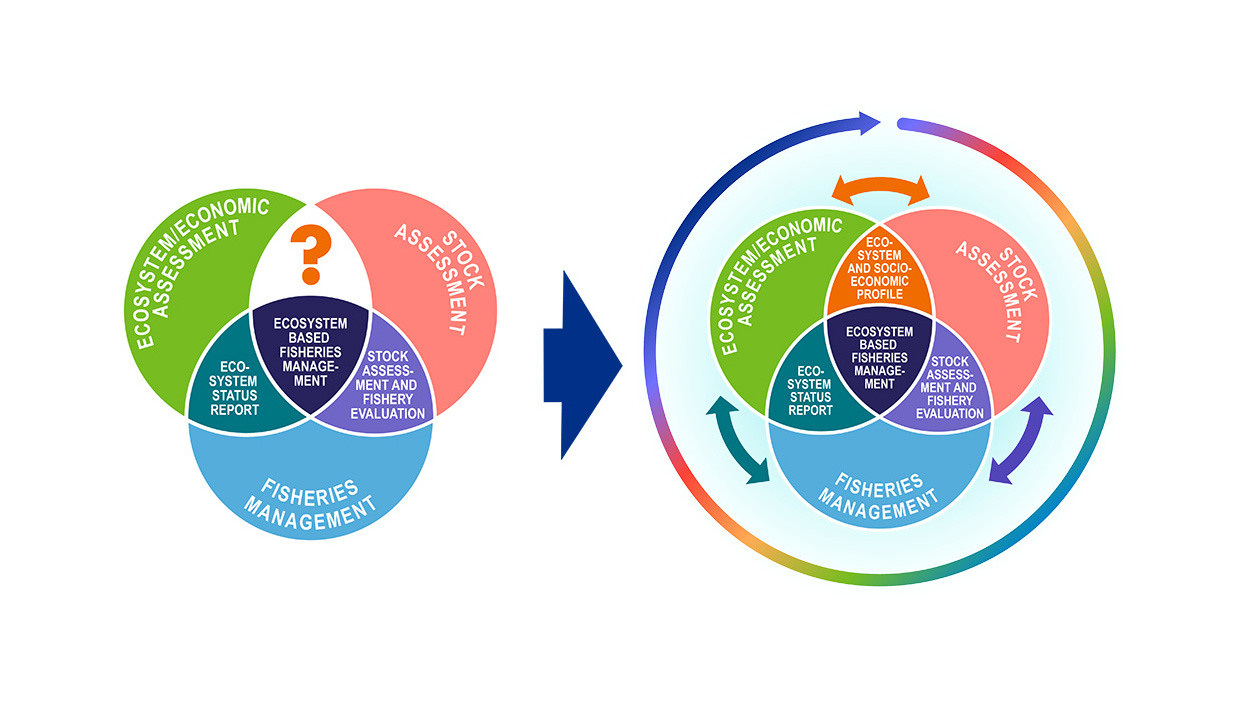 Image: Integrating Ecosystem and Socioeconomic Information into Fisheries Management