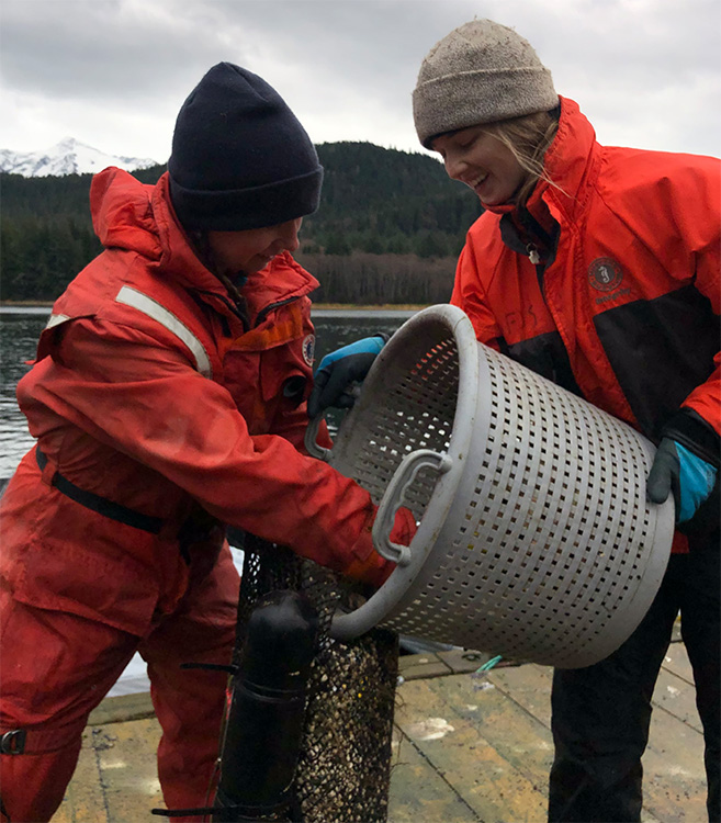 Two scientists wear orange suits take oysters out of gray bin