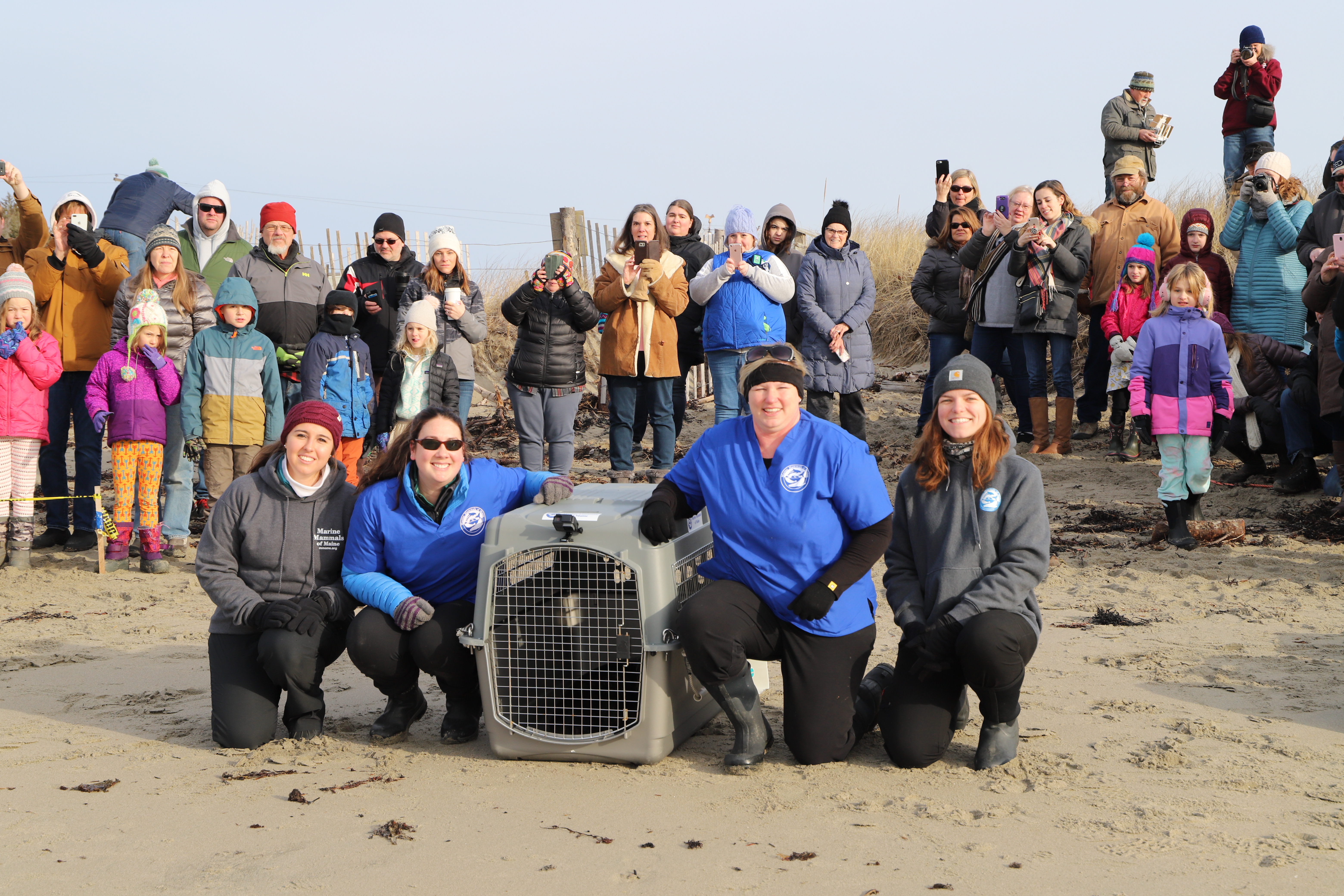 Responders crouch next to a kennel ahead of a seal release. Several onlookers are gathered in the background to watch the release.