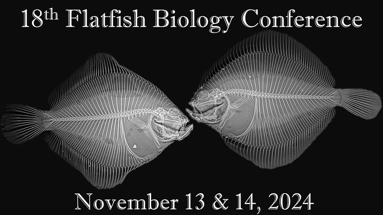 Skeletal images of flatfish, with 18th Flatfish Biology Conference, November 13 and 14, 2024