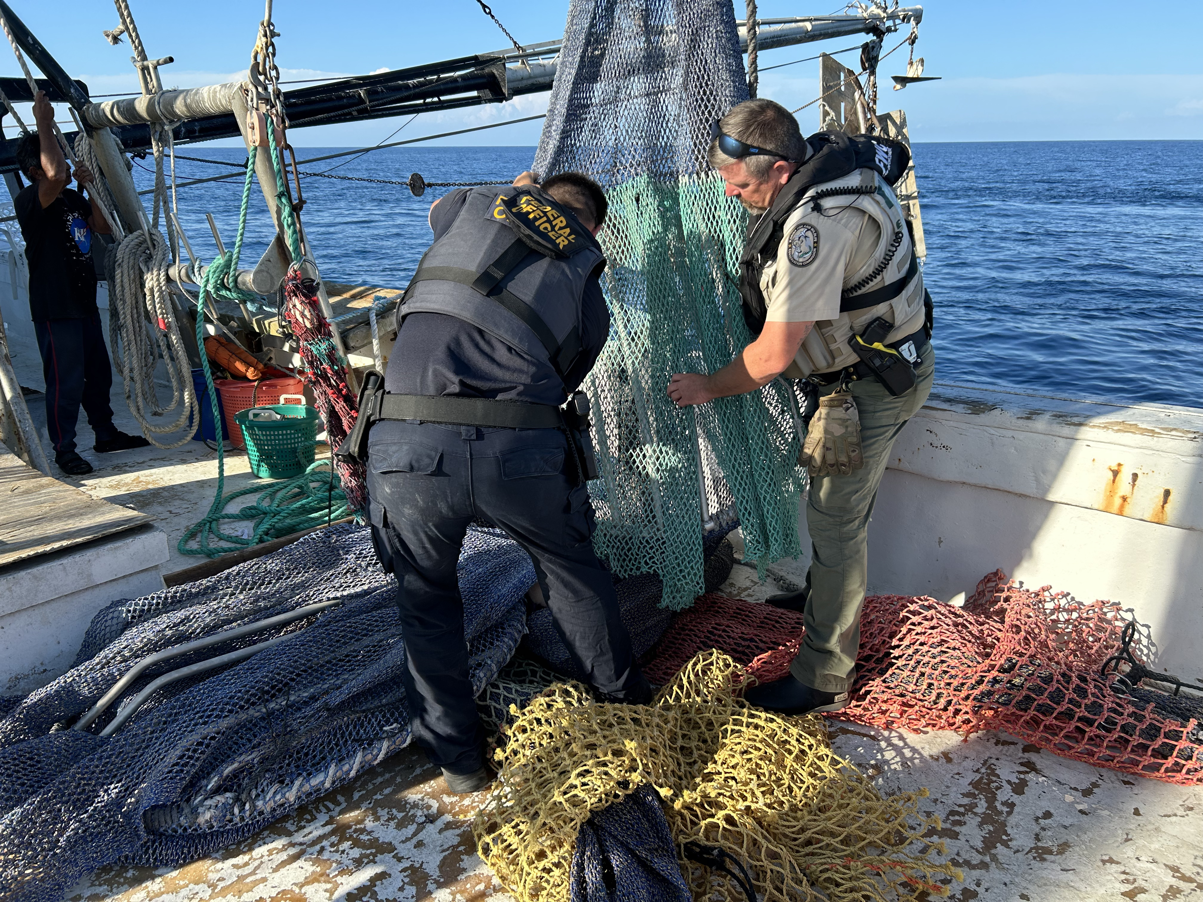 Image: NOAA Enforcement Helps Protect Sea Turtles