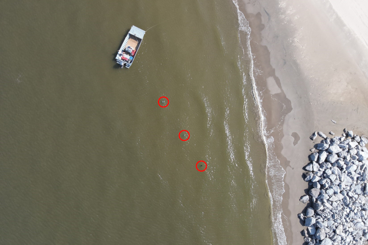 Image: Eyes in the Sky: Using Drones to Measure Sea Turtles