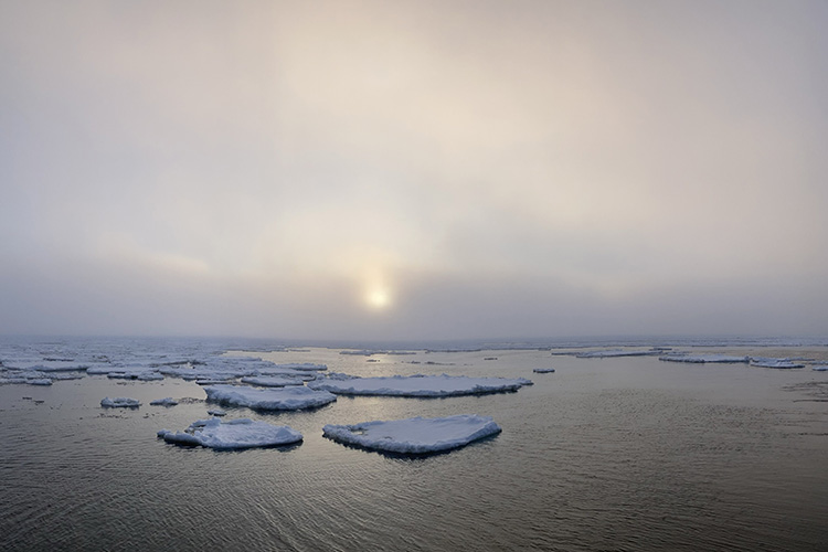 Image: 2025 Alaska Fisheries Science Center Field Season and Program Updates