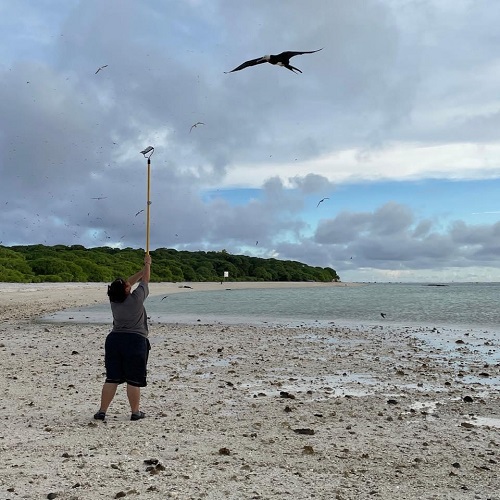 Image: Meet Alphina Liusamoa, Sea Turtle Biologist in American Samoa