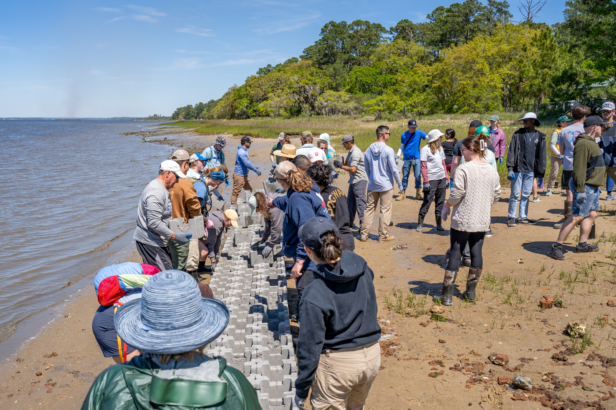 Image: Ambitious Living Shoreline Project Combats Coastal Land Loss in South Carolina